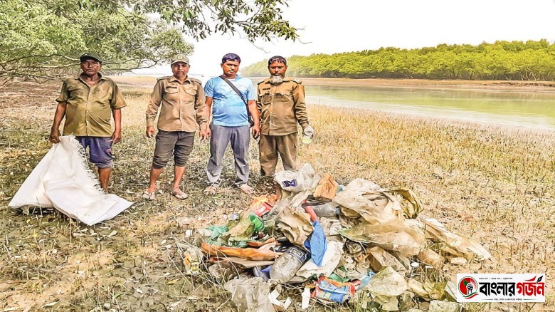 ঝুঁকিতে বনের পরিবেশ: প্লাস্টিকের চাপে সুন্দরবন