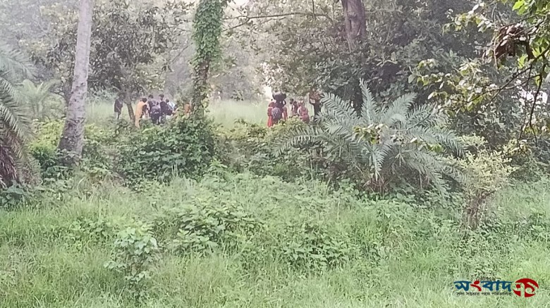 চাঁপাইনবাবগঞ্জের বাঙ্গাবাড়ি সীমান্তে ২৮ জনকে ঠেলে পাঠানোর বিএসএফের চেষ্টা ব্যর্থ, বিজিবি-বিএসএফের পতাকা বৈঠক